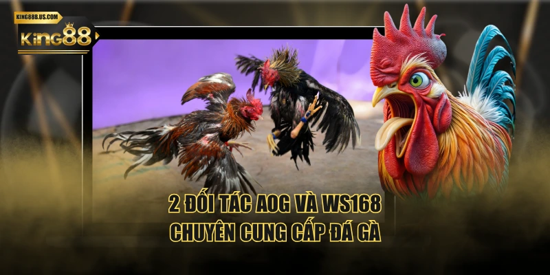 2 đối tác AOG và WS168 chuyên cung cấp đá gà