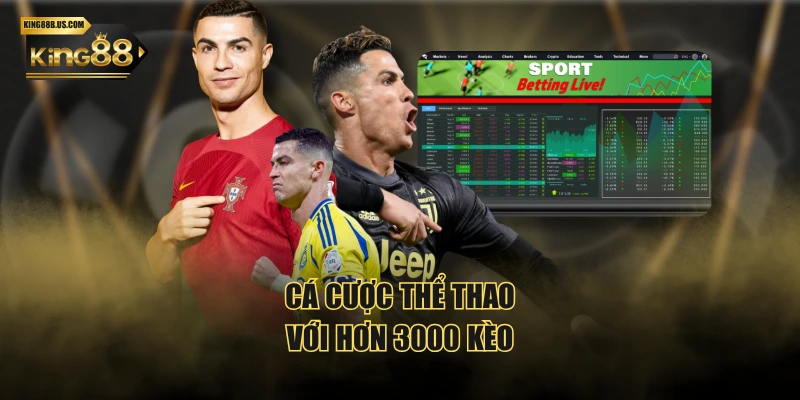 Cá cược thể thao với hơn 3000 kèo