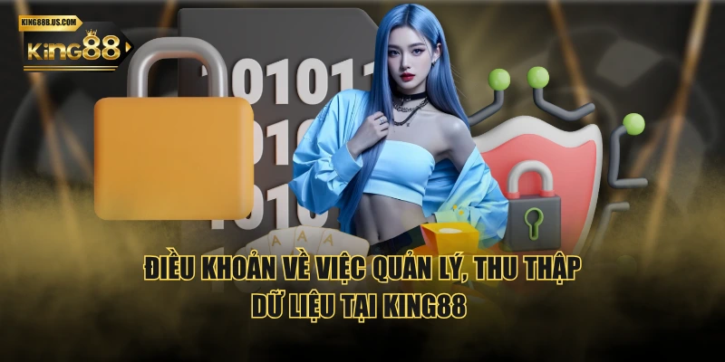 Điều khoản về việc quản lý, thu thập dữ liệu tại KING88 